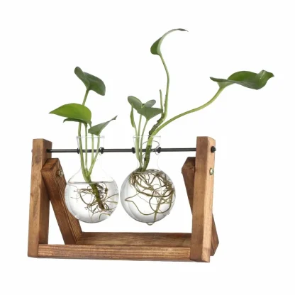 Decorative Tabletop Flower Pot with Transparent Design - Image 12